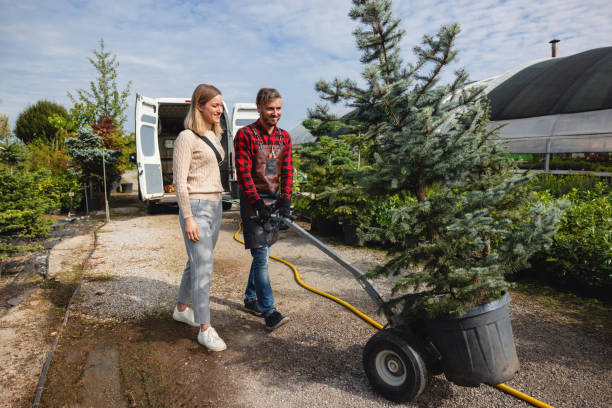 Best Artificial Turf Installation  in Groesbeck, TX